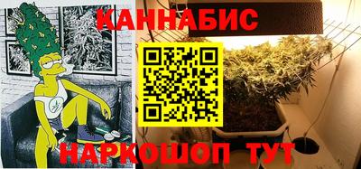 дмт Кингисепп