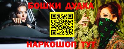 дмт Кингисепп