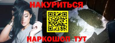 дмт Кингисепп