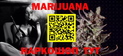 дмт Кингисепп