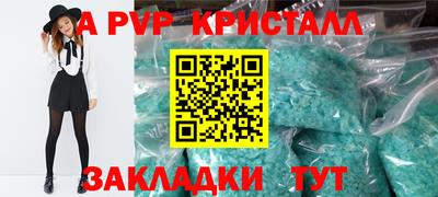 дмт Кингисепп