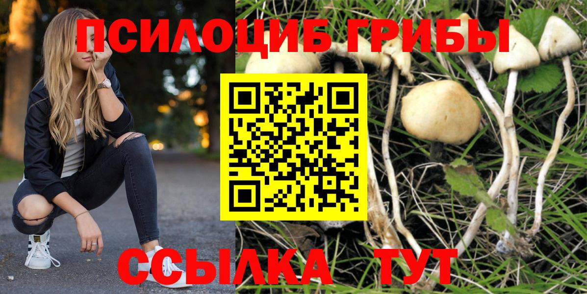 Псилоцибиновые грибы Magic Shrooms  Вход с VPN  Кстово 